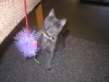 baby nyx