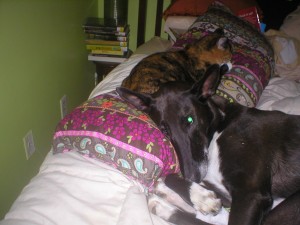 Sookie and Nina Zero 