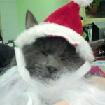 santa nyx !