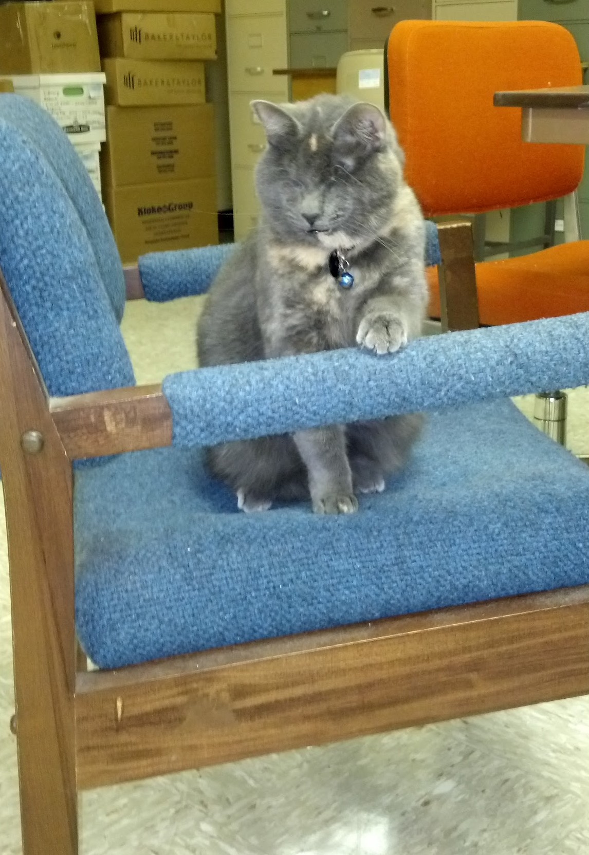 chair