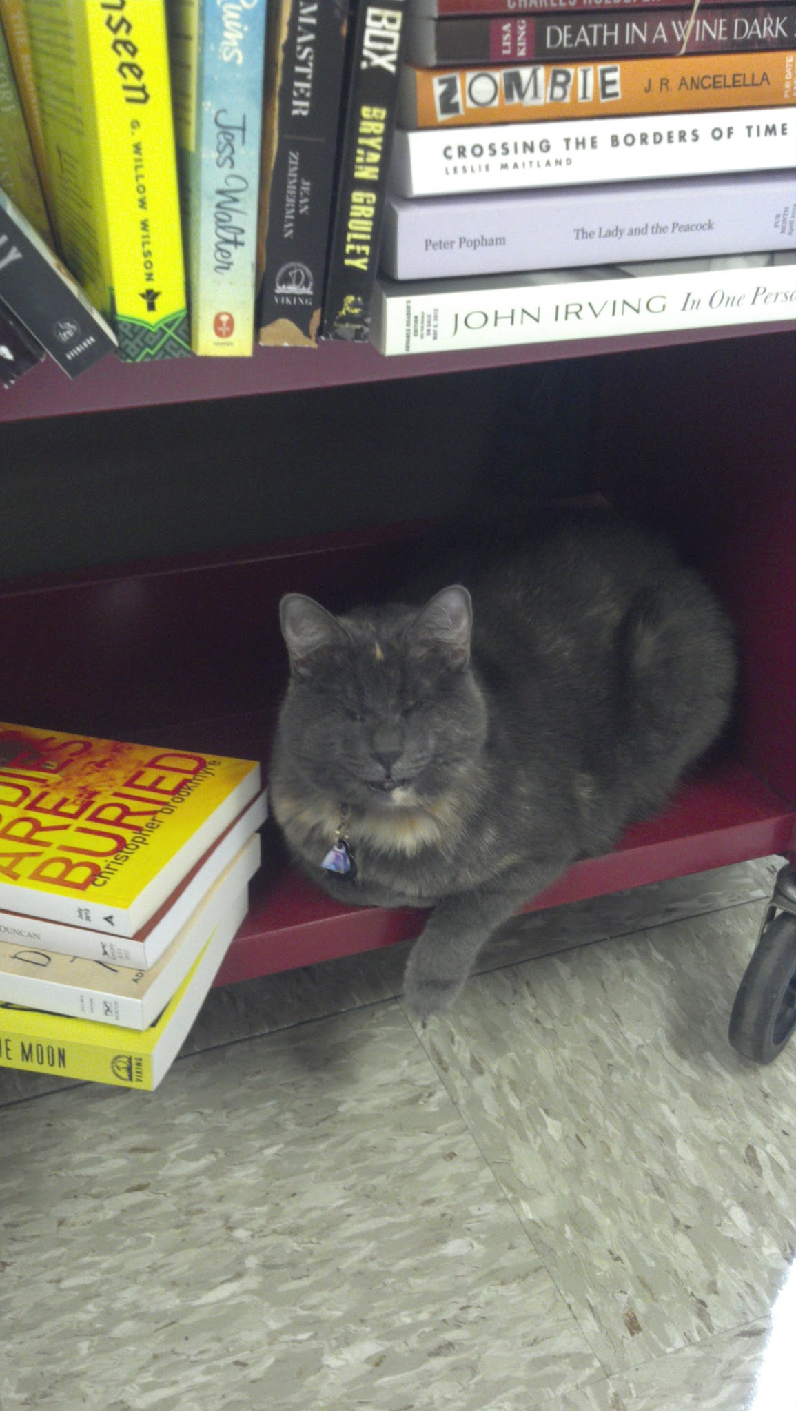 Book Cart