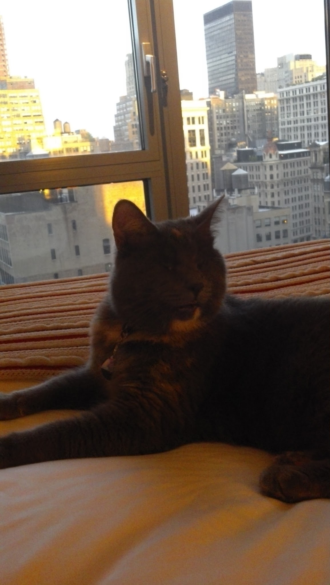 Nyx at the Eventi Hotel