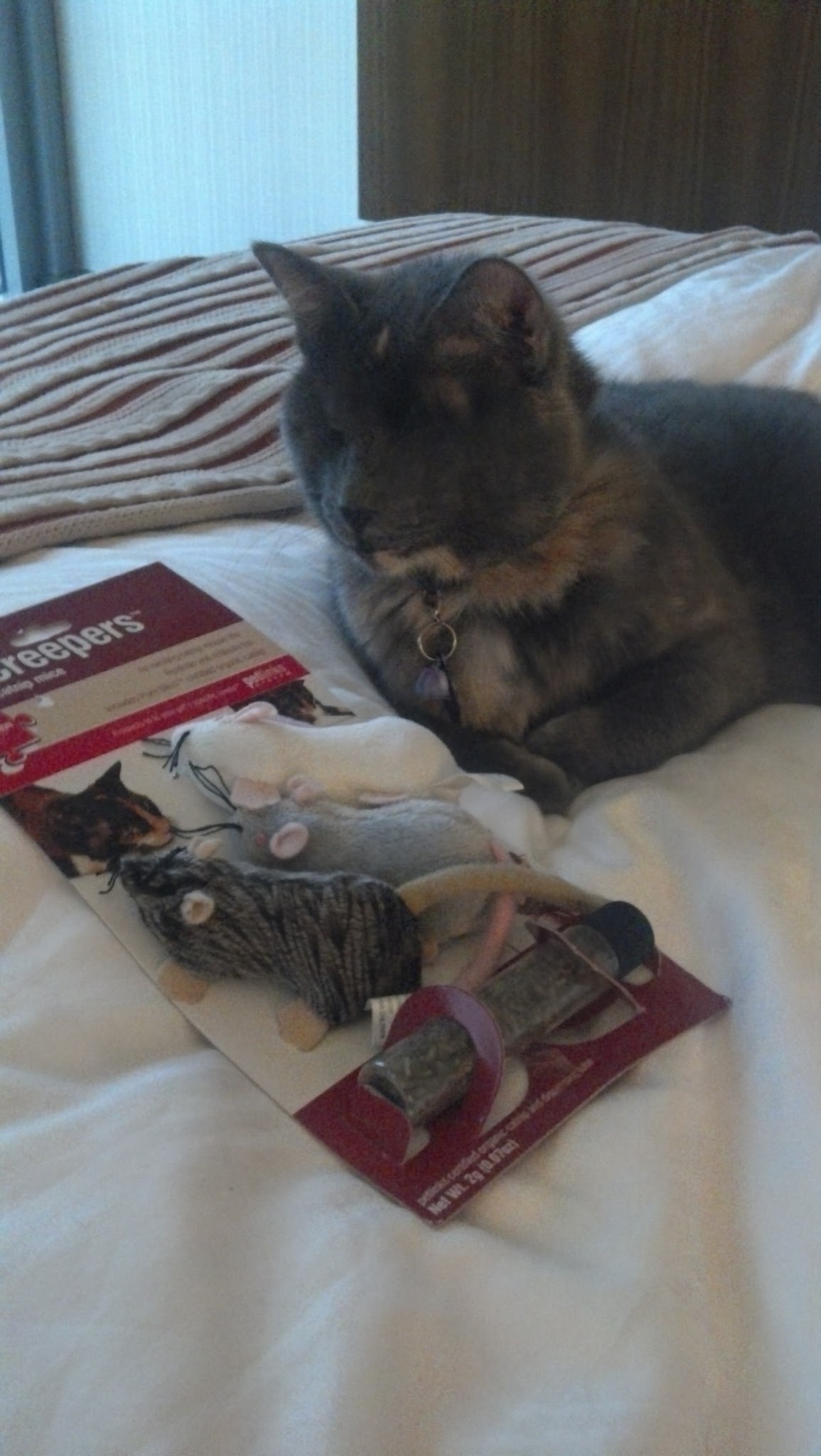 Nyx and her offerings from Lindsay