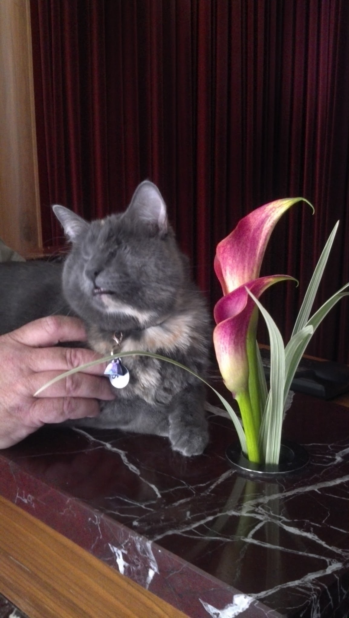 Nyx checking out of the Eventi Hotel